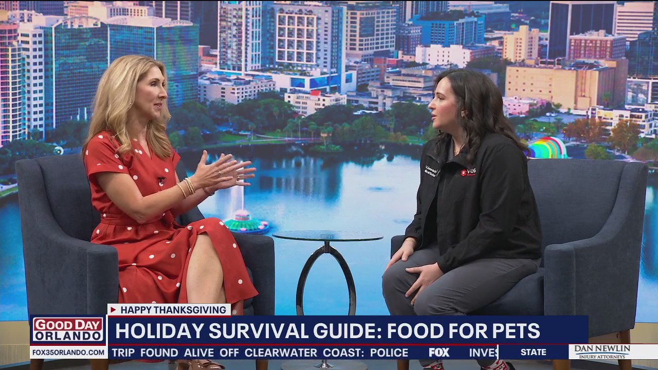 Emergency vet: Thanksgiving meals to attach far from pets