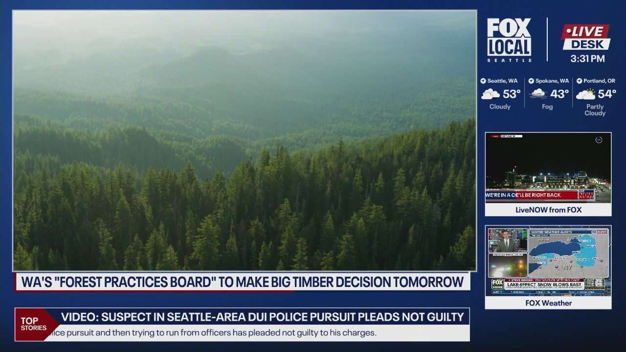 WA's Forest Practices Board to make timber decision