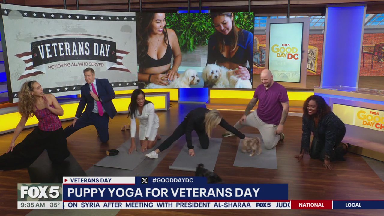 Puppy Yoga for Veterans Day