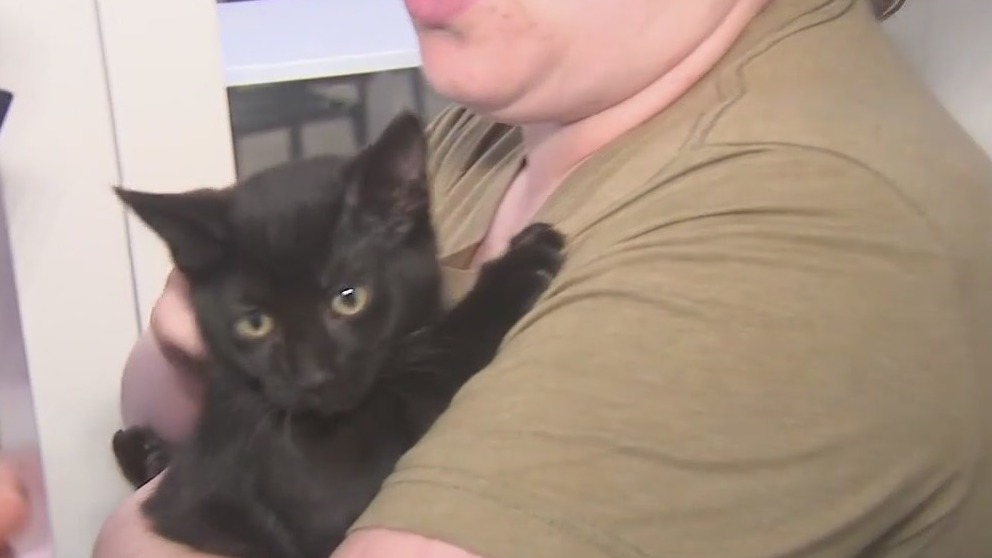 Best Friends Animal Society needs volunteer fosters