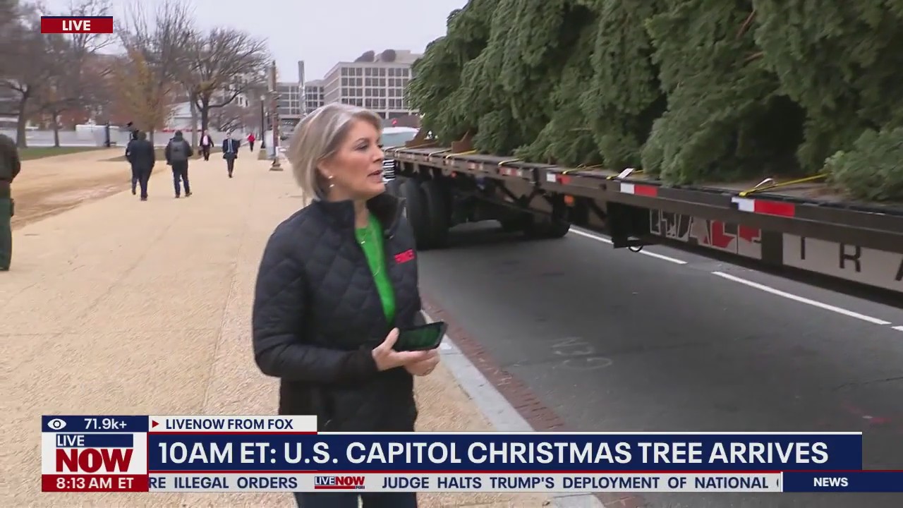Capitol Christmas tree arrives in D.C.