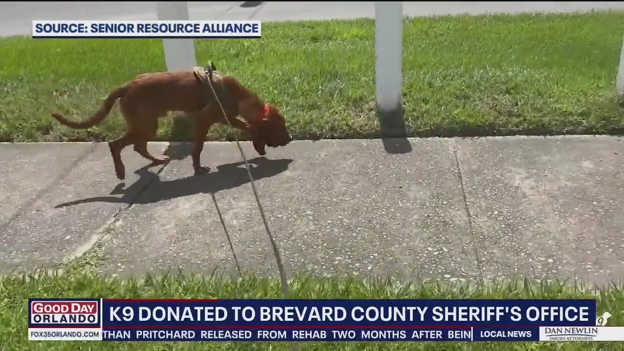 Brevard County Sheriff's Office welcomes new K9 to the force