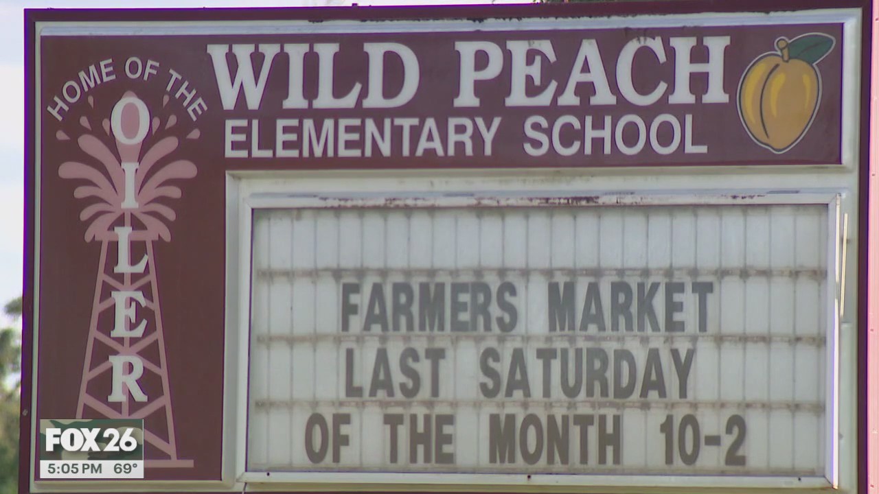 Brazoria County elementary student injured at school