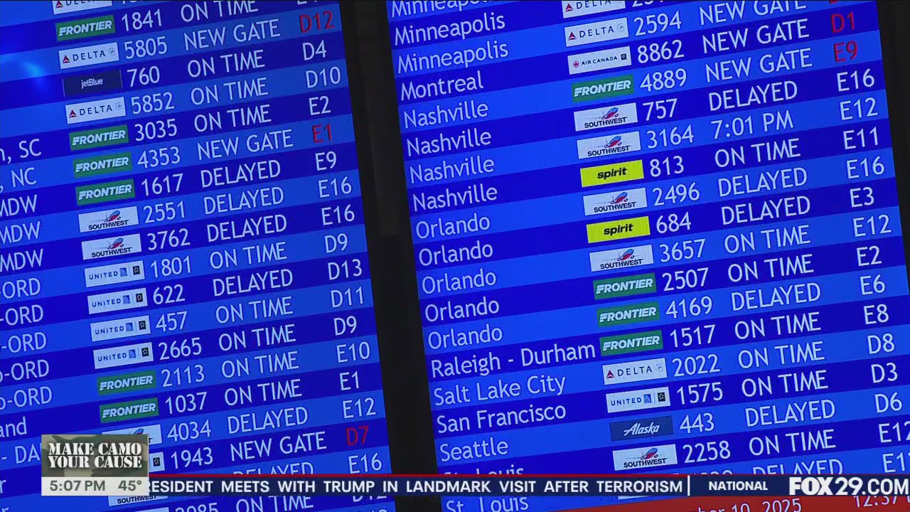 Government shutdown impact on flights: Is there a glimmer of hope in sight?