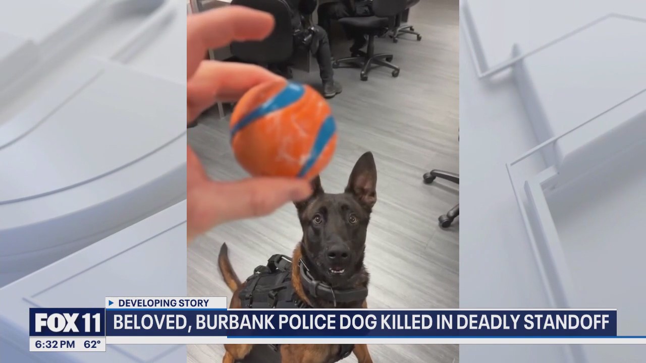 Burbank K9 dies in standoff | FOX 11 Los Angeles