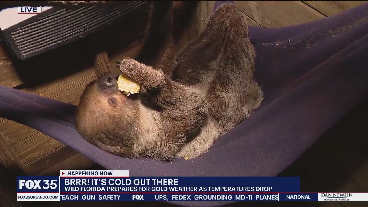 Wild Florida prepares animals for cold weather