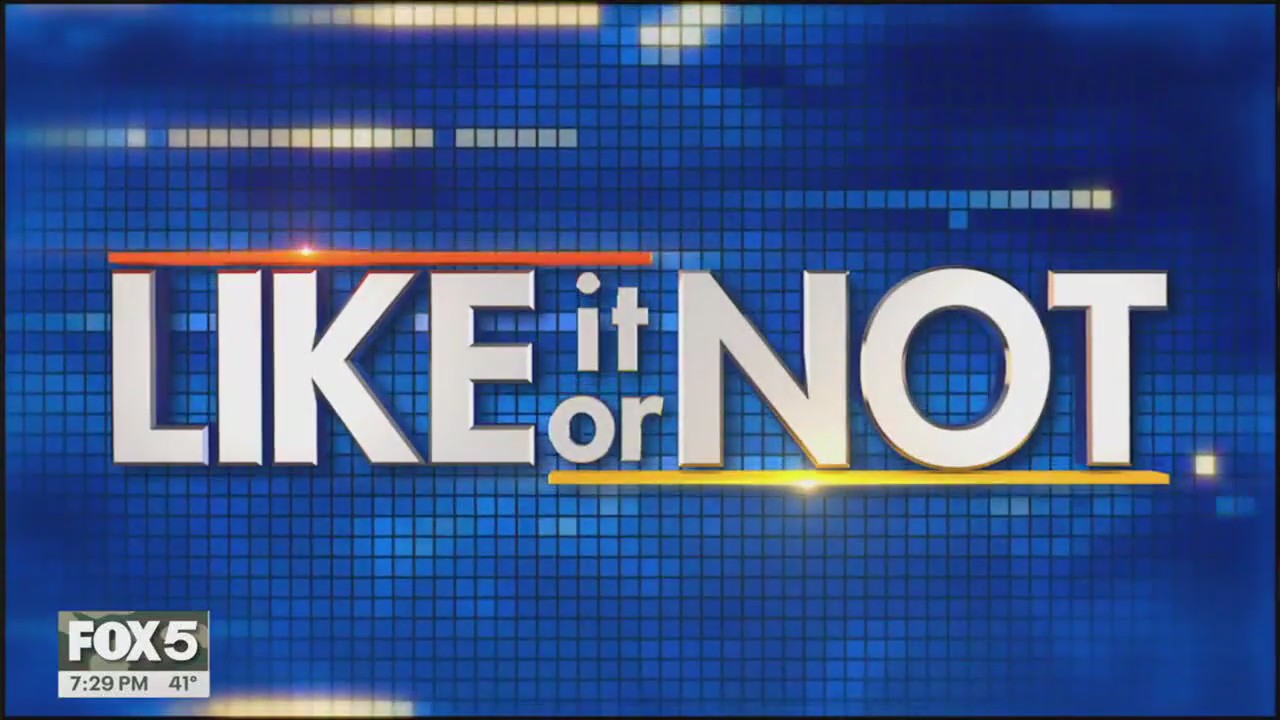 LION: November 11, 2025