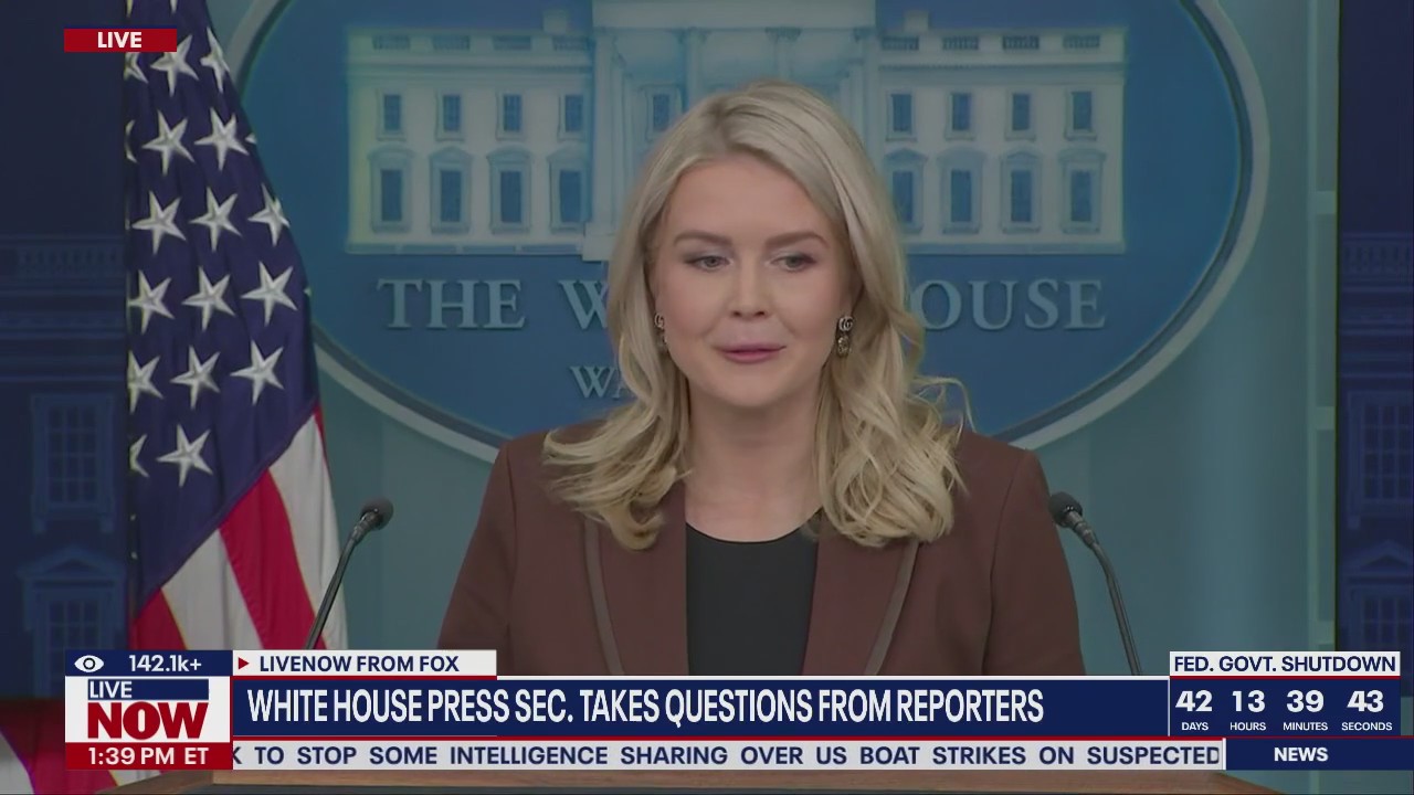 Karoline Leavitt asked about Trump-Epstein connection