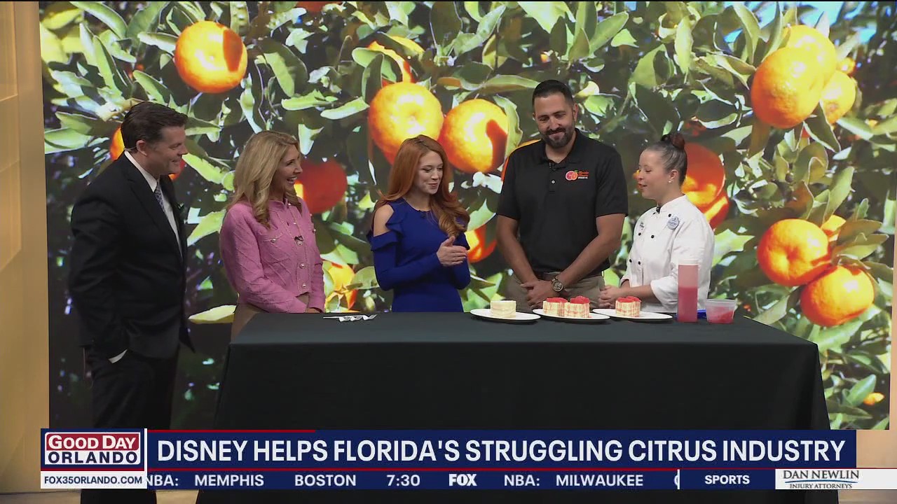 Florida's struggling citrus industry gets help from Disney