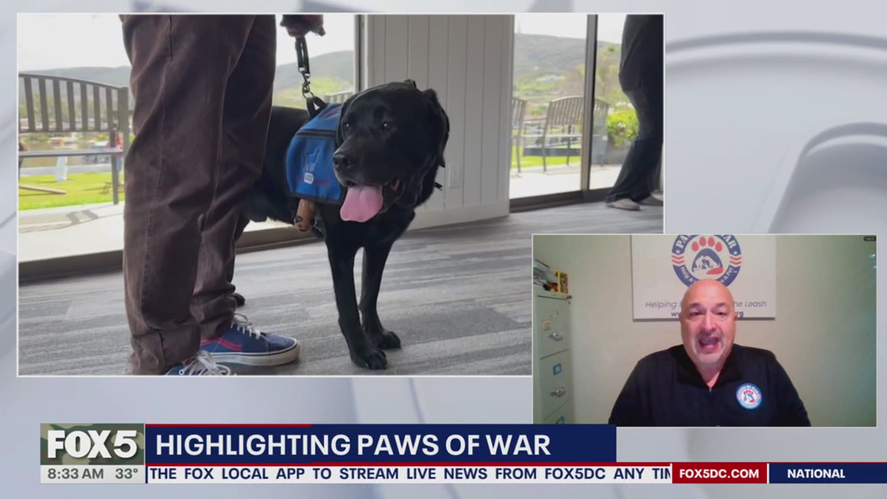 Helping veterans and their four-legged companions
